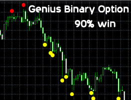 Genius Binary Options details price